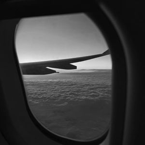 特级裸体毛毛片
