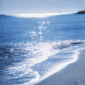 特级裸体毛毛片
